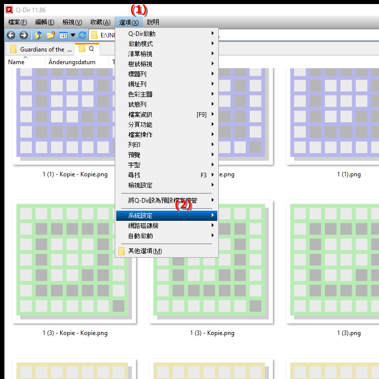 我可以在 Windows 版 Quad File Explorer 中調整哪些系統設定